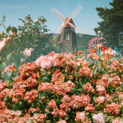 乐鱼官网手机版app下载